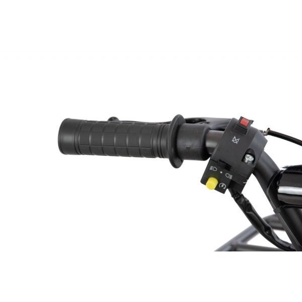 Мини квадроцикл XTR M9 50 см3 Э-старт красный XTR-M9/6 ES 1&ndash;4 фото