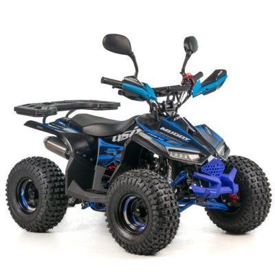 Квадроцикл Asix MUDDY 110 см3 Asix MUDDY 001/7 1-1 фото