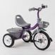 Велосипед 3-х колісний BS-4298 "Best Trike" (1) гумові колеса, переднє d = 10 '', заднє d = 8 '', дзвіночок, 2 кошики, в коробці 102416 фото 1